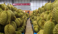 进口榴莲受追捧，天猫1分钟售出8万个！