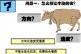 想做好运营，“抬头拉车”和“低头看路”一个都不能少