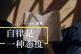 自律的本质是野心，是普通人突围逆袭的关键动作